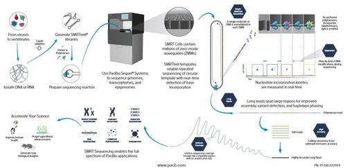 玩转基因测序仪的第一步 从基因测试技术历史到软硬件创新